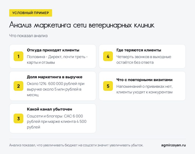 Условный пример: что показал анализ маркетинга сети ветеринарных клиник - источники клиентов, доля маркетинга, убыточный канал, потери звонков, повторные визиты