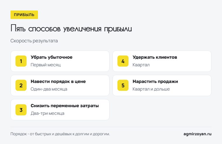 Пять способов увеличения прибыли по скорости результата: убрать убыточное, навести порядок в цене, снизить переменные затраты, удержать клиентов, нарастить продажи